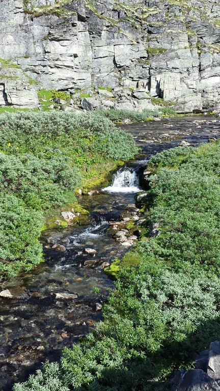 Djupvasshytta Bed & Breakfast Geiranger Exterior photo