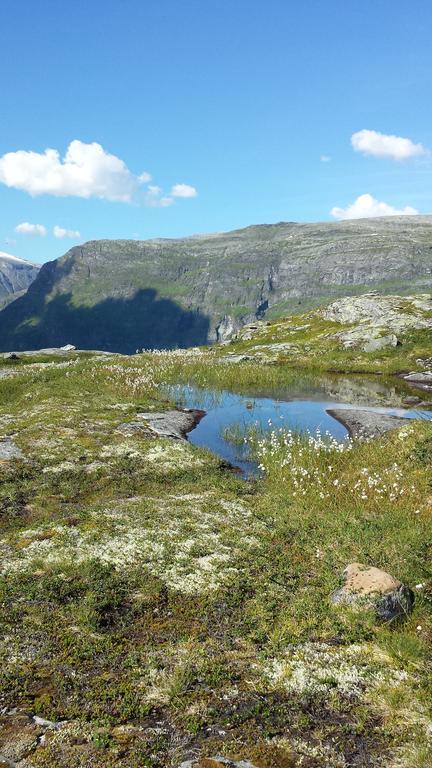 Djupvasshytta Bed & Breakfast Geiranger Exterior photo